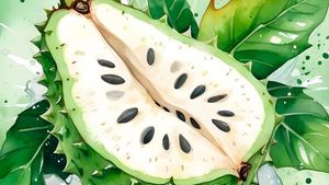 Terdapat Kelompok Orang yang Tidak Dianjurkan Makan Sirsak, Meski Efektif Membunuh Sel Kanker