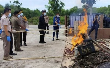 Karantina Riau Musnahkan 45,5 Ton Bawang Merah dan Mangga Malaysia