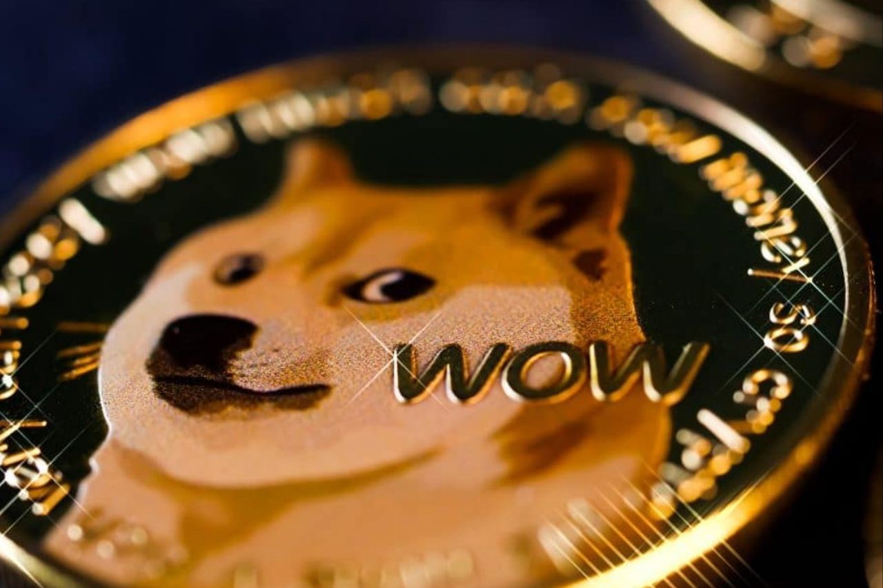 doge debit card meme