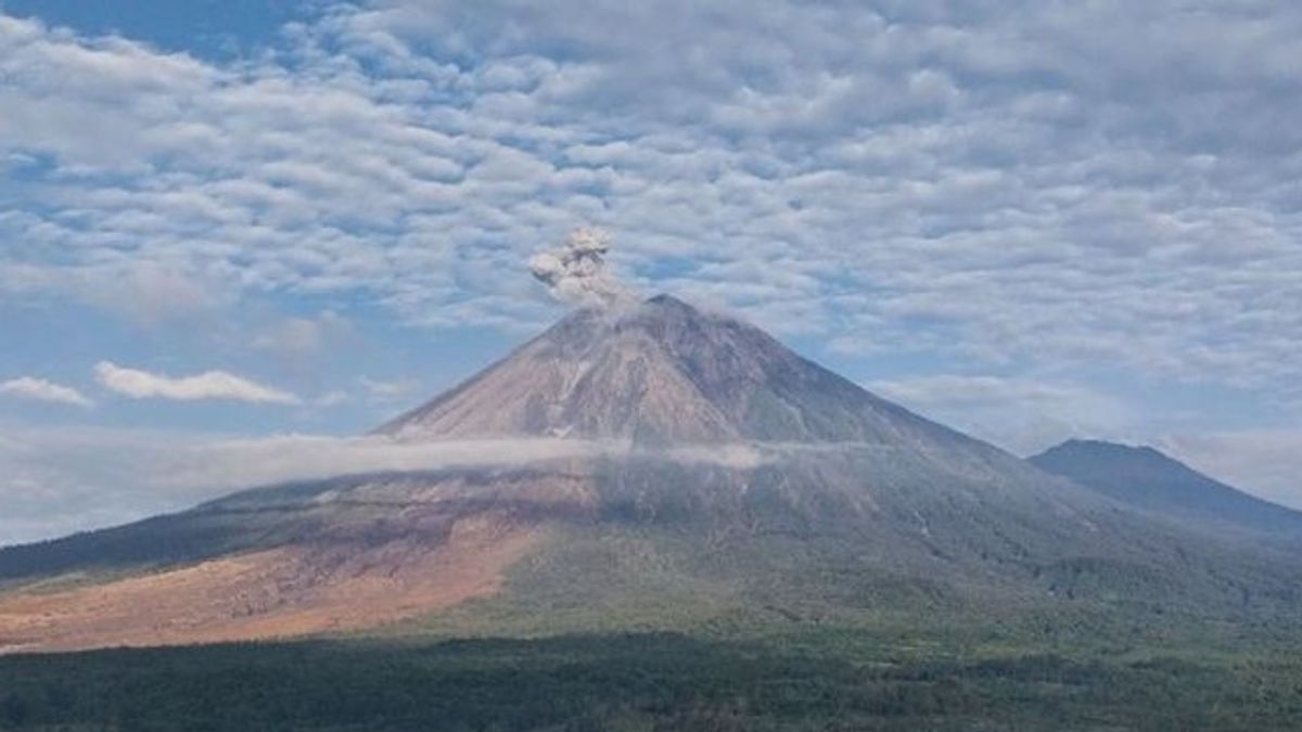 Senin Pagi, Semeru Tiga Kali Erupsi dan Muntahkan Abu hingga 900 Meter
