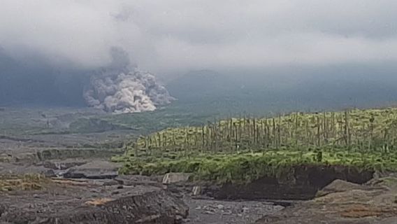 BPBD Lumajang Imbau Masyarakat Tidak Beraktivitas di Lereng Semeru