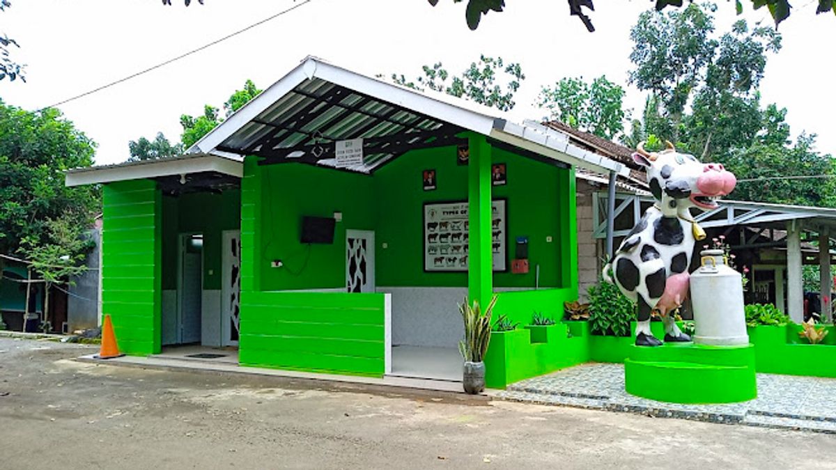 Around Four Thematic Villages In Jatirejo, From Fresh Milk To Kolang Kaliling