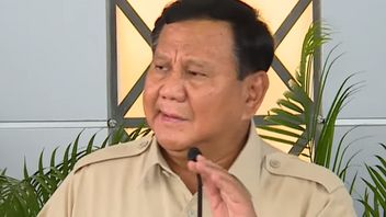 Prabowo Dorong Kereta Cepat Whoosh Tidak Hanya Sampai Surabaya, Tapi Lanjut ke Banyuwangi
