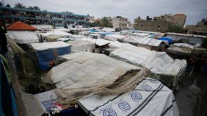 イスラエル非人道的避難命令、国連人権局長:ガザの人々は爆弾、病気、さらには飢餓に見舞われ続けている