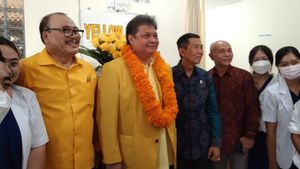Menko Airlangga: RUU Provinsi Bali dalam Pembahasan DPR
