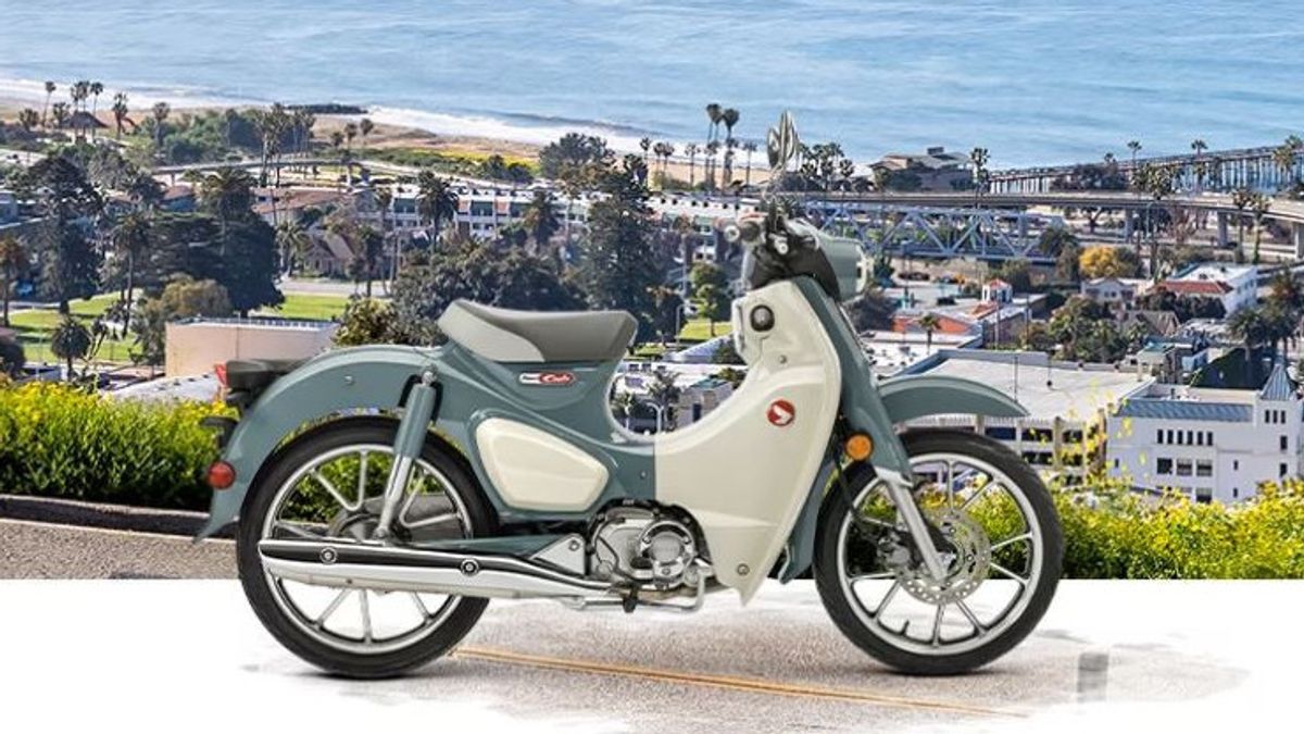Honda Introduces Updates For Monkey And Super Cub C125 2024
