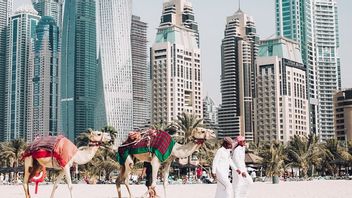 迪拜在中东开发加密天堂，保证投资者将感到舒适