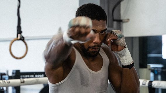 如果Deontay Wilder的对决未能实现,Anthony Joshua可能会遇到Tyson Fury或Andy Ruiz