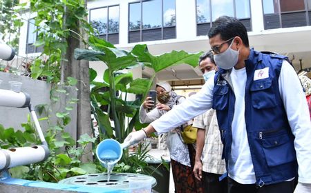 Sandiaga Uno: Urban Farming Kebutuhan Pangan Mandiri