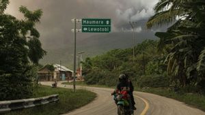  Gunung Lewotobi Laki-Laki Masih Erupsi, 8 Penerbangan ke Flores Dibatalkan 