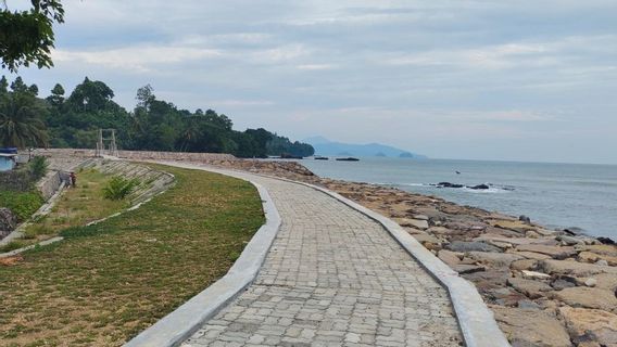 SOEs省は、ダナレクサと他のレッドプレート企業が沿岸地域を開発することを奨励しています