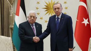 Korban Tewas Warga Palestina Tembus 33.600 Jiwa, Presiden Erdogan: Israel akan Membayar Kekejaman di Gaza