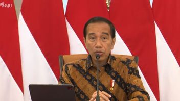 Encourage The Domestic Bauxite Processing And Purification Industry, Indonesia Stops Exporting Ore Bauxite Starting June 2023