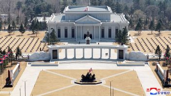 普京总统称赞朝鲜军队在库尔斯克战役中的英勇表现：非凡的勇气