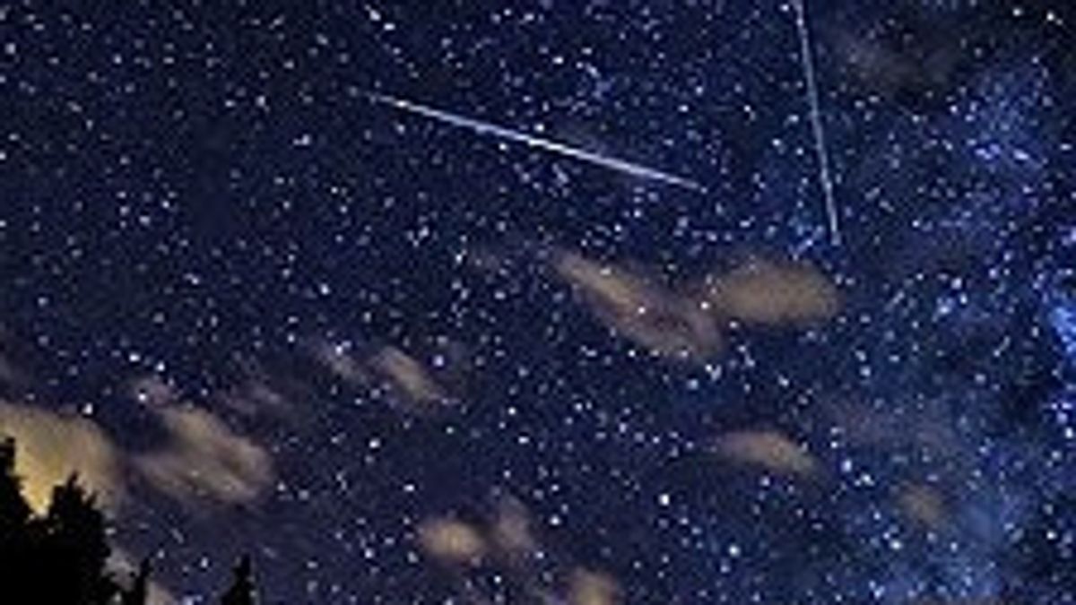 This Weekend The Perseid Meteor Will Perform A Sky Show On Its Peak Night