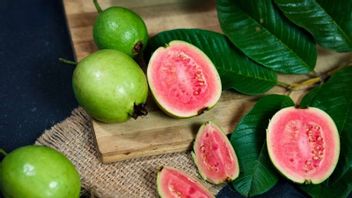 Many Believe Guava Juice Is Effective In Increasing Platelets During Dengue Fever, This Is What The Experts Say