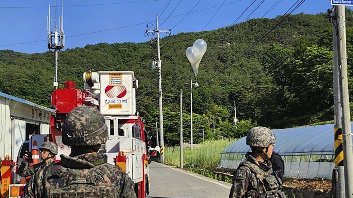 韓国は北朝鮮のゴミ風船でブレスレットワームからキャベツワームなどの寄生虫を見つけました