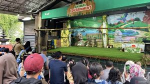 Bandung Zoo Dibuka Lagi Tanpa Izin, Pemkot Langsung Keluarkan SE Larangan Kunjungan