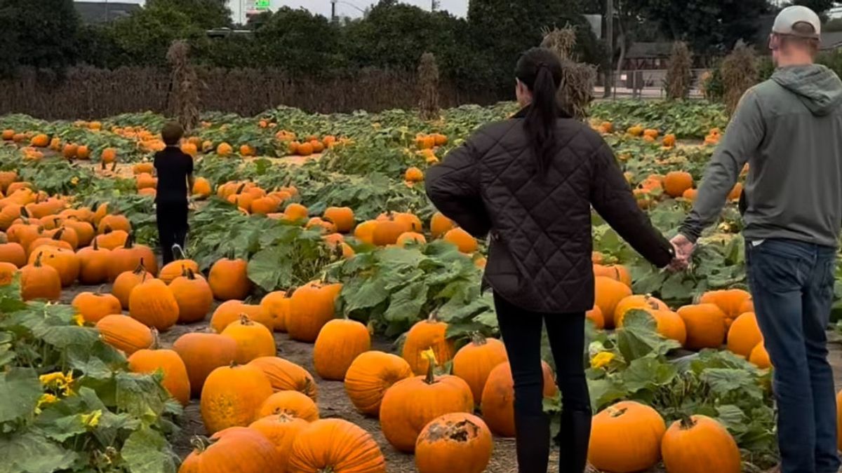 Jelang Halloween, Meghan Markle Pamer Kebahagiaan Bareng Keluarga di Kebun Labu