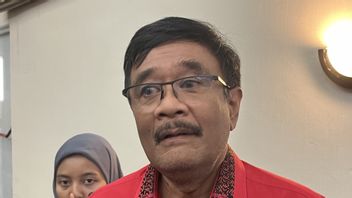Djarot Ungkap PDIP 帮助 Gibran 和 Bobby Nasution 因Jokowi而成为市长