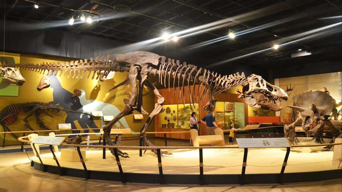 ديناصور الأحفوري الأعمال التي تهم العلماء