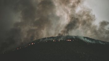 俄罗斯因森林火灾宣布2个地区紧急状态