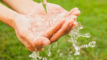 What Is Distilled Water: Manufacturing Process, Uses, and Benefits