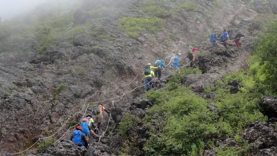 收紧规则,富士山登山者人数减少