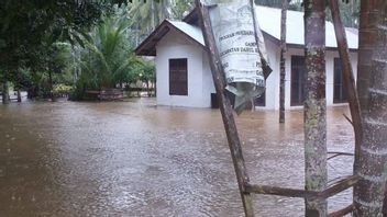 Berita Banjir di Aceh: 226 Desa di Aceh Timur Terancam Banjir pada Musim Hujan