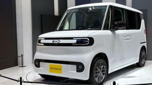 Kei Car BYD Racco Berpeluang Dijual di Indonesia?