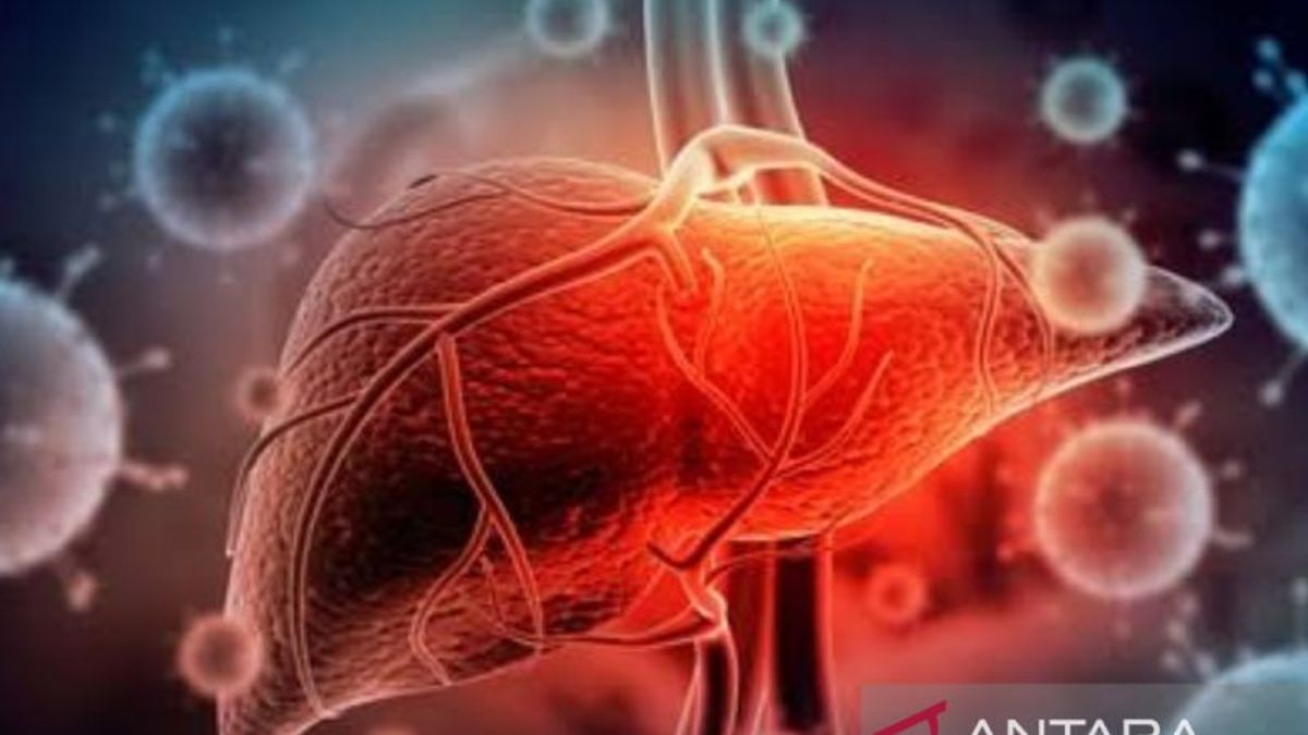 حنيفة السواري: التهاب الكبد الحاد الوخيم المرتبط بكوفيد-19 غير صحيح