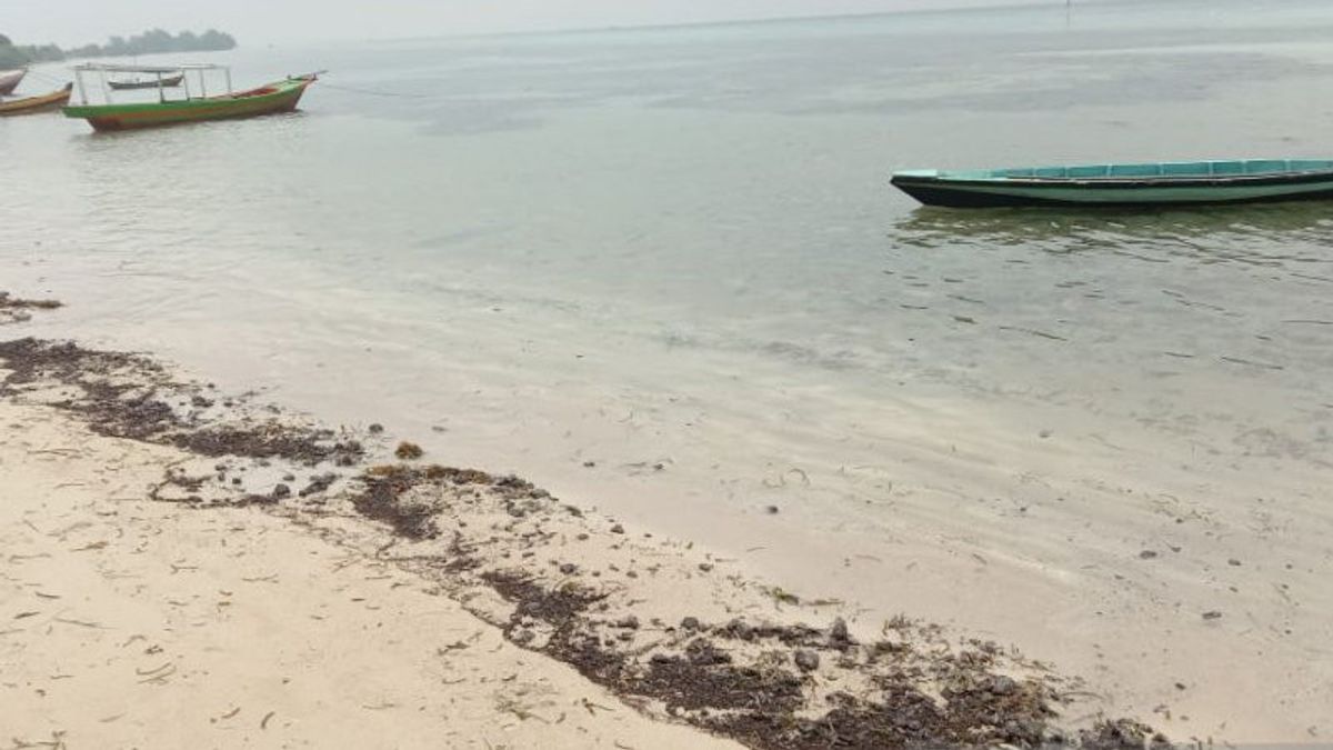 L’île Pari Entachée Par Un Déversement De Pétrole Brut, La Cause Est En Cours De Traçation