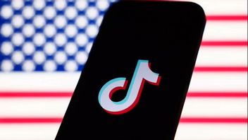 Perplexity AI Ajukan Tawaran Merger dengan TikTok AS