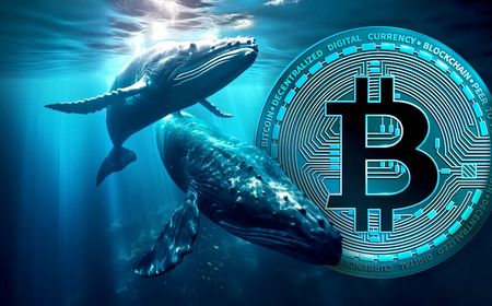 Whales Pindahkan 1,9 Juta BTC ke Dompet Kripto Sejak Awal 2024