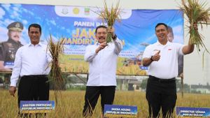 Mentan Amran: Penggilingan Kecil Harus Diberi Ruang