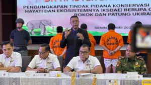 Bareskrim Polri Bongkar Aksi Perdagangan Gading Gajah di Jakarta-Sukabumi