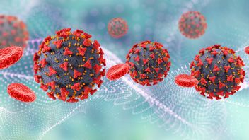 Beneficial Virus: Here's An Explanation Of Some Types According To Experts