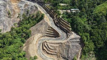 Pembangunan Jalan Trans Papua 50,14 Km Dikebut, Progres Berjalan Sesuai Target