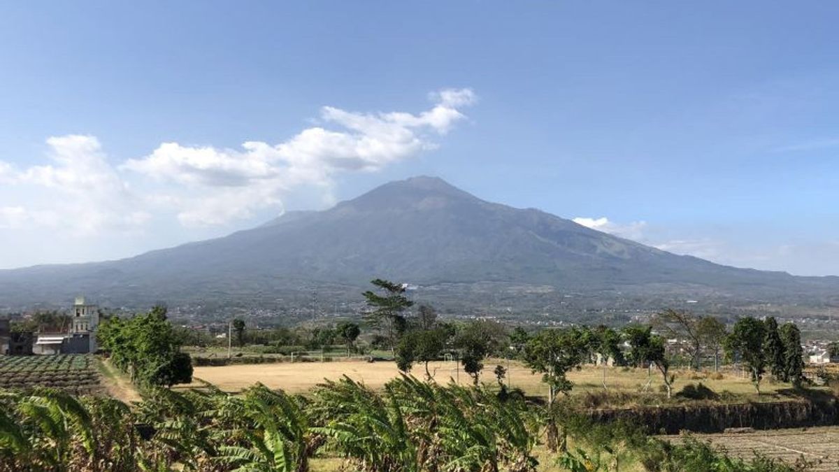 SARの運営により閉鎖されていたアルジュノ山の登山が再開