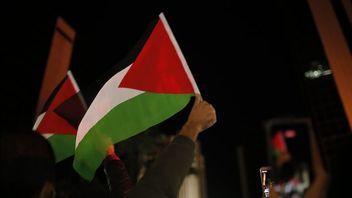 European Countries Hold Palestinian Support Actions, Calls For Double Standards To Be Stopped