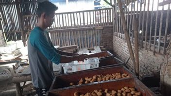 Lebak Tofu Crafters Siasati Soybean Prices Soaring: Its Size Is Made Small