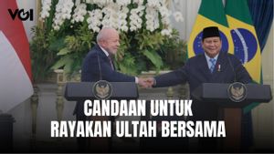 Presiden Prabowo Minta Izin Rayakan Ultah Bersama Presiden Lula kepada Ibu Negara Brasil