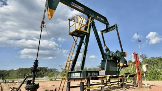 Target Eksplorasi 46 Sumur di 2025, SKK Migas Catat Baru Bor 18 Sumur