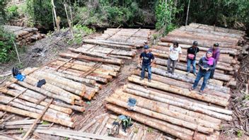 Lacak Sumber Kayu Ilegal, Kemenhut Temukan Ribuan Batang Kayu di Kalbar
