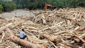Kemenhut Telusuri Sumber Kayu Terbawa Banjir Sumatera, Termasuk Dugaan Illegal Logging