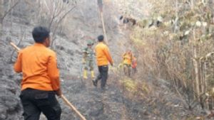 300 Hektare Lahan di Padang Lawas Utara Sumut Terdampak Karhutla 