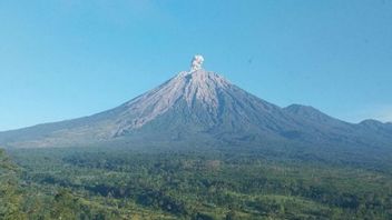 Semeru Meletus! Kolom Abu Capai 1.000 Meter, PVMBG Keluarkan Peringatan Keras