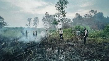 South Sumatra Police Handle 16 Land Burning Cases