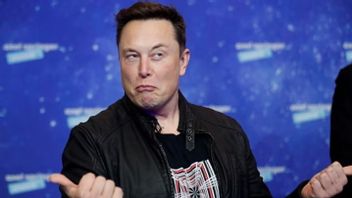 Des chercheurs allemands découvrent un mode dissimulé d'Elon sur Tesla qui pourrait mettre les chauffeurs en danger