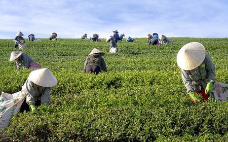 Guru Besar IPB Ungkap Tantangan Pertanian di Masa Depan: Produktivitas Kita Masih Rendah Dibanding China, Vietnam, Brasil